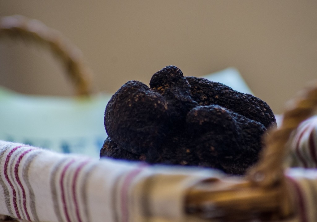 Truffes du Périgord – marché gourmand Dordogne