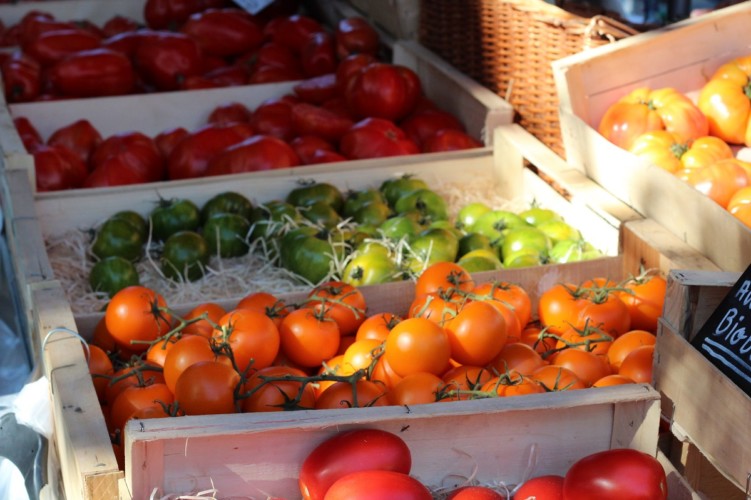 Tomates sur le marché de Bergerac