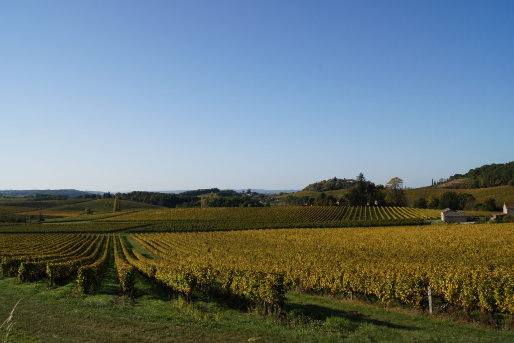 paysage de Dordogne en septembre dans le Périgord Pourpre