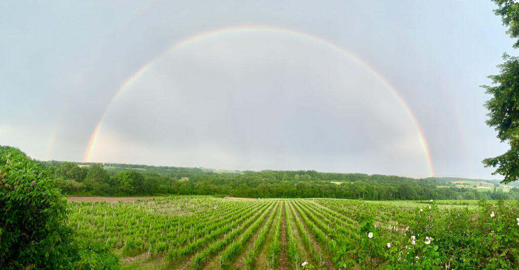 Château viticole du Domaine de Lestevenie à Gageac-et-Rouillac, au cœur des vignobles de Bergerac