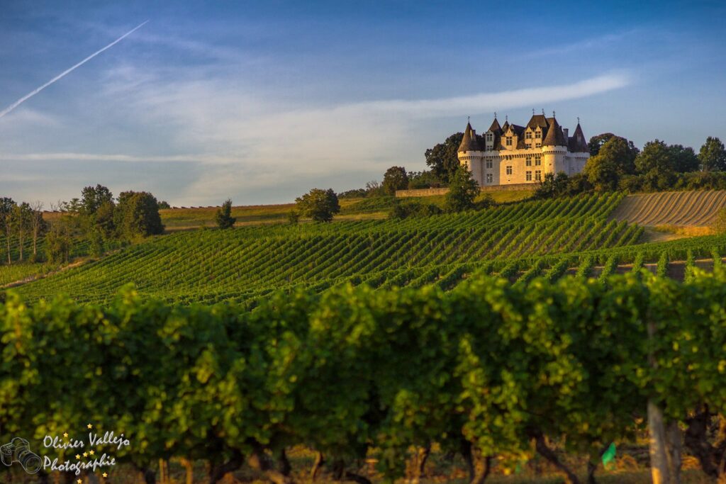 Château viticole du Domaine de Lestevenie à Gageac-et-Rouillac, au cœur des vignobles de Bergerac